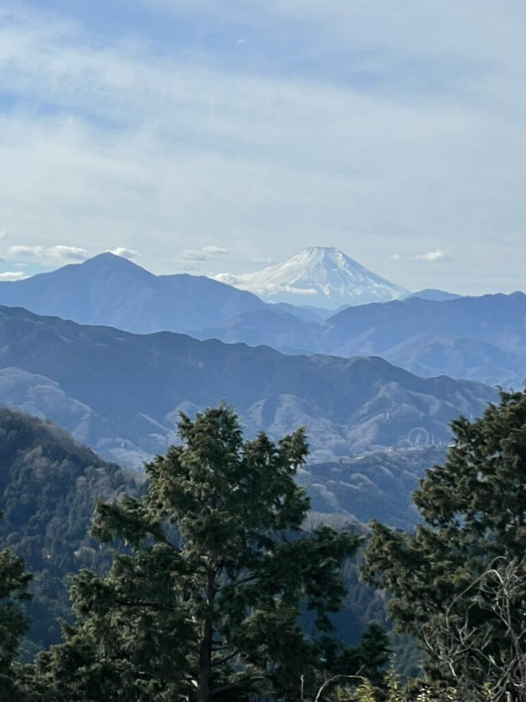 Snow-capped Mount Fuji above blue ridges, seen through pines from Takao's summit